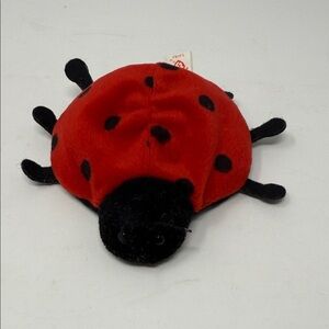 Ty Beanie Baby Red and Black Lucky the Ladybug 1993